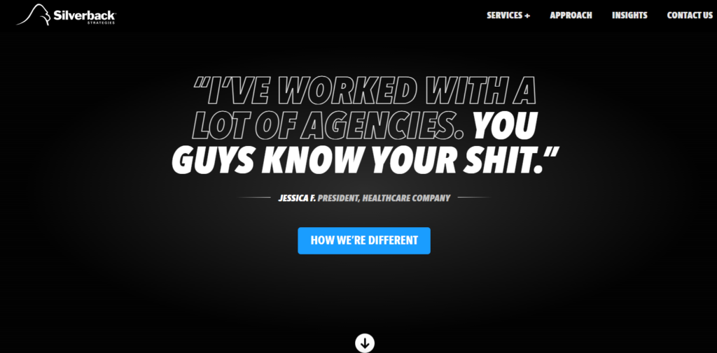 Silverback Strategies home page
